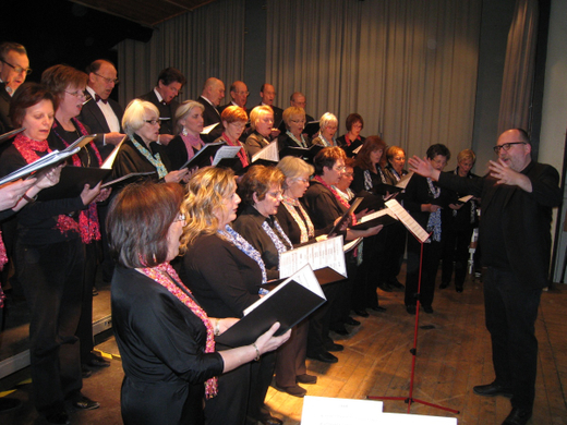 Gemeinschaftskonzert 2009 _1__jpg-1268469600