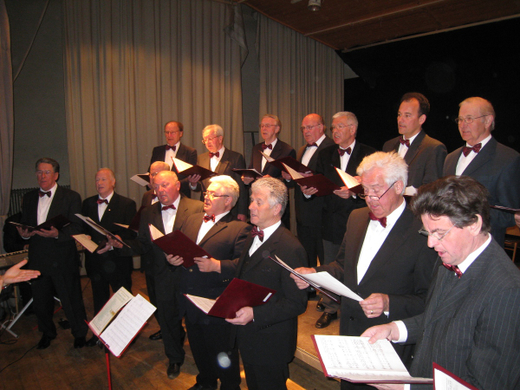 Gemeinschaftskonzert 2009 _6__jpg-1268469671
