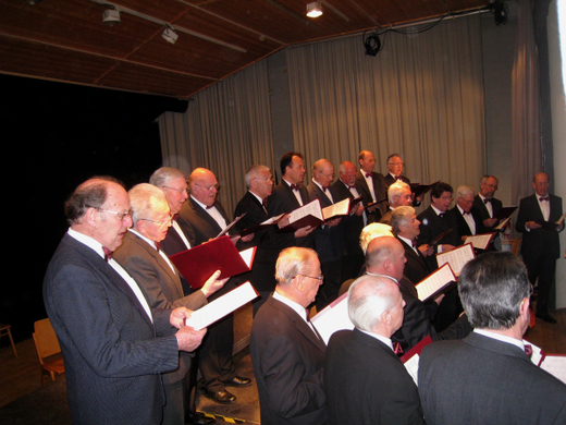 Gemeinschaftskonzert 2009 _7__jpg-1268469683