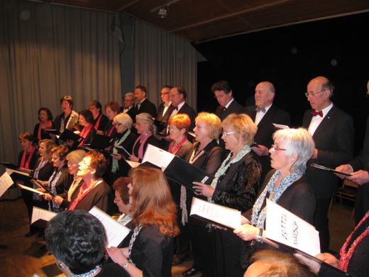 Gemeinschaftskonzert 2009 _13__jpg-1268469766