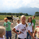 grilla_jpg 018_jpg-1376435407