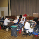 Blutspendeaktion Lochau 2009 _4__jpg-1268470294