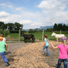 grilla_jpg 027_jpg-1376435440