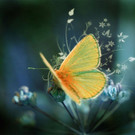 wallpaper_jpg-1376465664