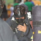 13082013brandde01001aktivnews_026.JPG