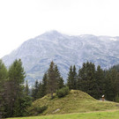 IBD0546-20130813.jpg