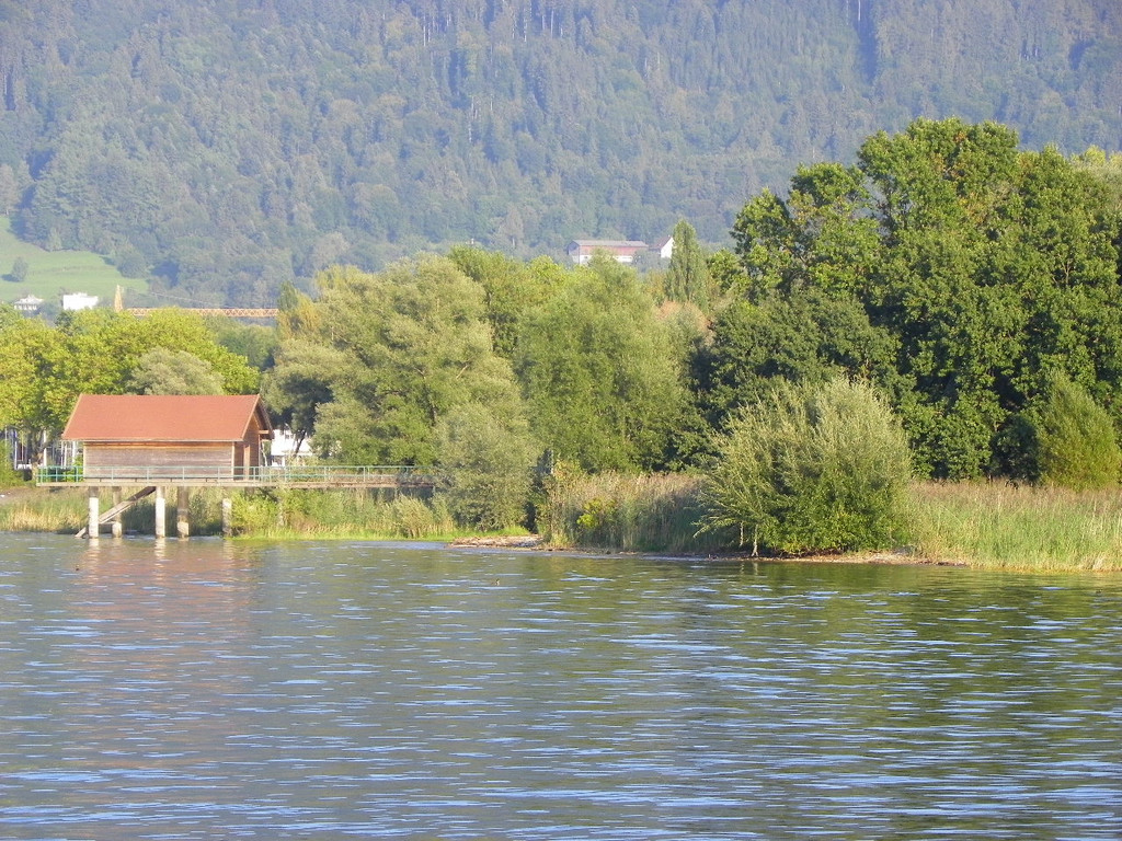 116_1142_JPG-1376487408