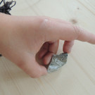 DSCN9607_JPG-1376488886