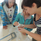 DSCN9609_JPG-1376488890