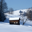 DSC07651.JPG