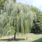 IMG_9077.JPG