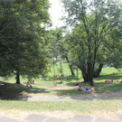 IMG_9082.JPG