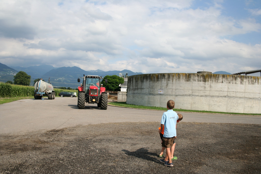 grilla_jpg 098_jpg-1376492897