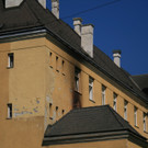 IMG_7955.JPG