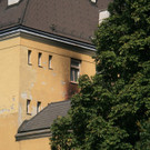 IMG_7956.JPG
