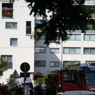 IMG_7959.JPG