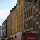 IMG_7975.JPG