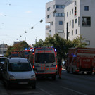 IMG_7976.JPG
