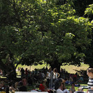 normal_15082013fmt_picknick_fm_15.jpg