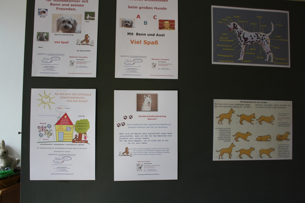 Ferienkalender HUNDE 18-07-2013 _6__jpg-1376660846