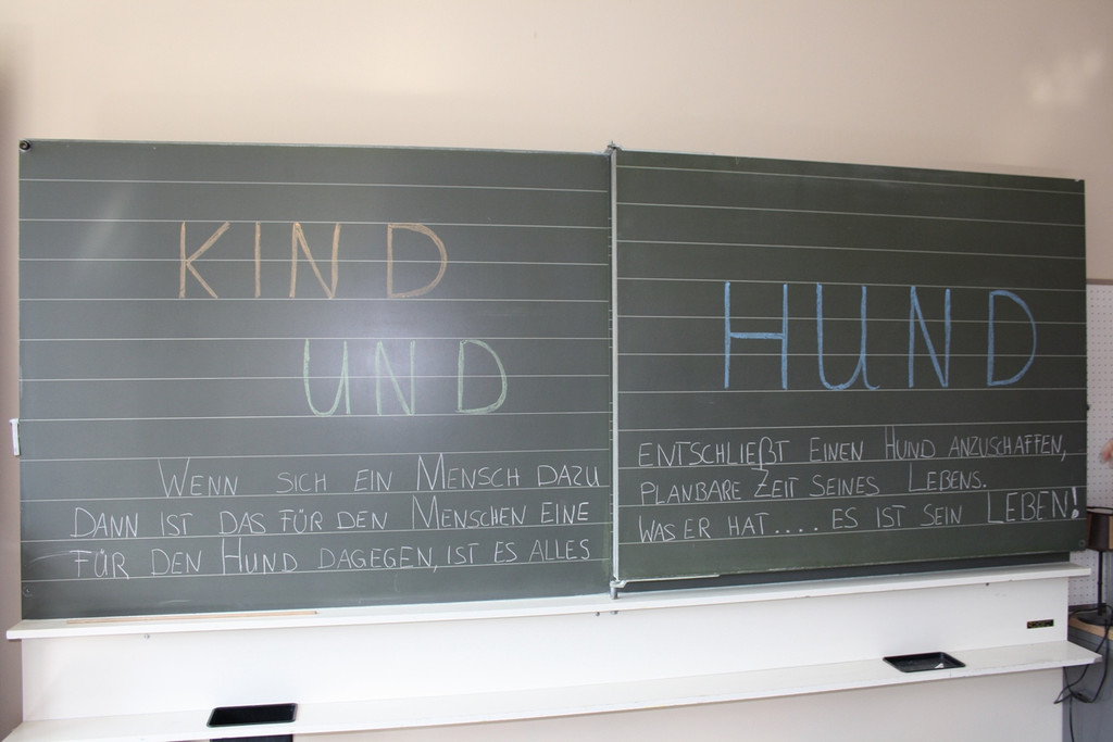 Ferienkalender HUNDE 18-07-2013 _4__jpg-1376660839