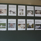 Ferienkalender HUNDE 18-07-2013 _7__jpg-1376660849