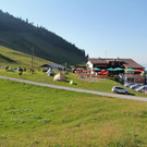 IMG_6595.jpg