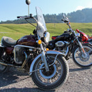 IMG_6577.jpg
