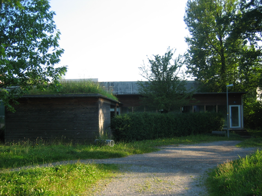 IMG_6607.JPG