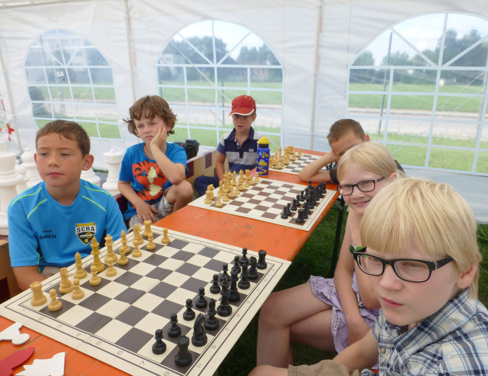 Schach5_jpg-1376735925