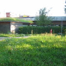 IMG_6606.JPG