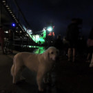 DSCN9786_JPG-1376738758