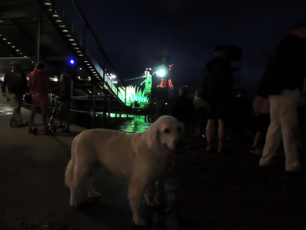 DSCN9786_JPG-1376738758