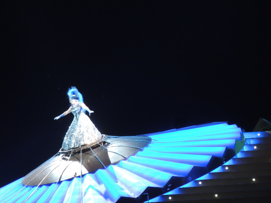 DSCN9775_JPG-1376738734