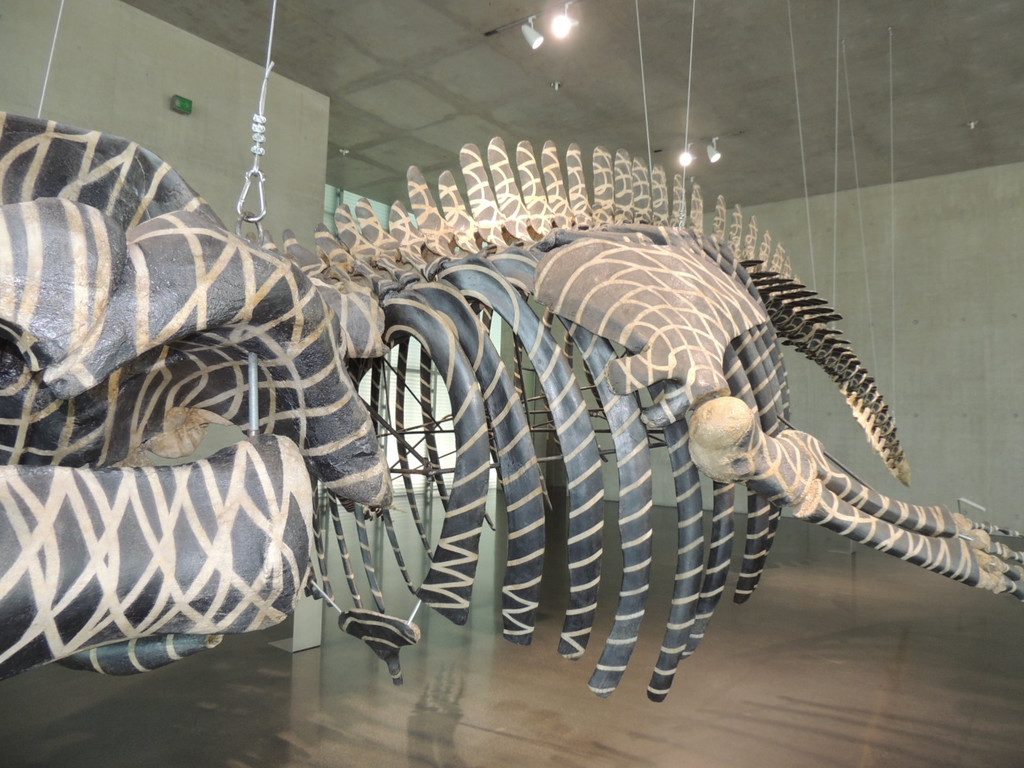 DSCN4442_JPG-1376739103