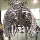 DSCN2564_JPG-1376739063