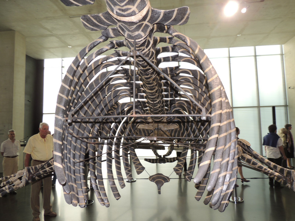 DSCN2564_JPG-1376739063