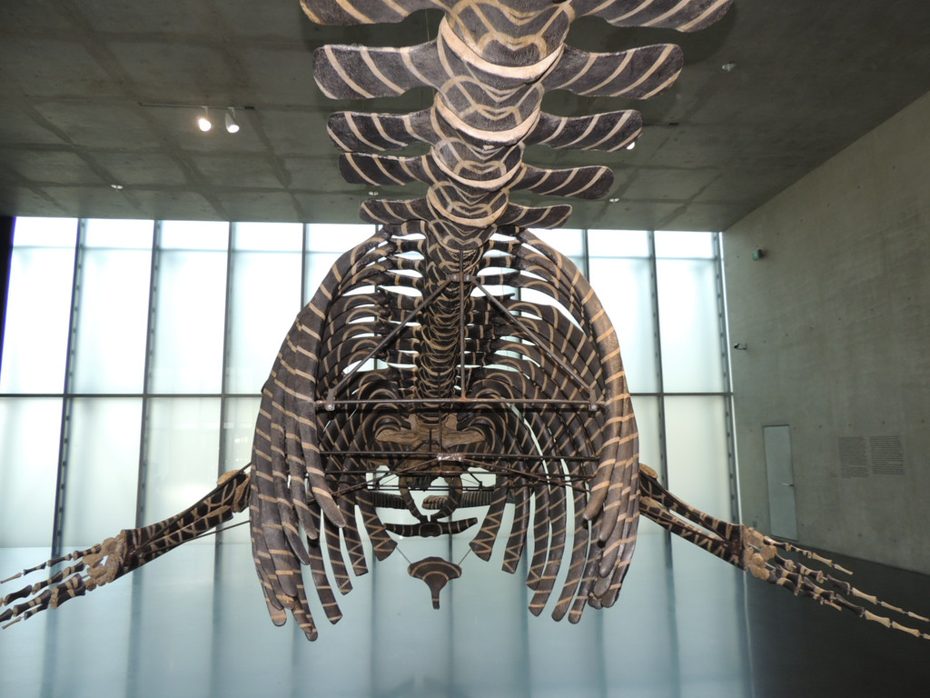 DSCN4435_JPG-1376739091