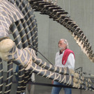 DSCN2571_JPG-1376739071