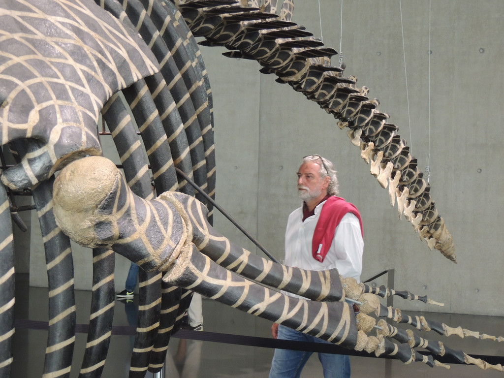 DSCN2571_JPG-1376739071