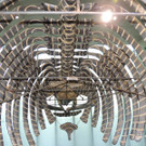 DSCN4441_JPG-1376739099