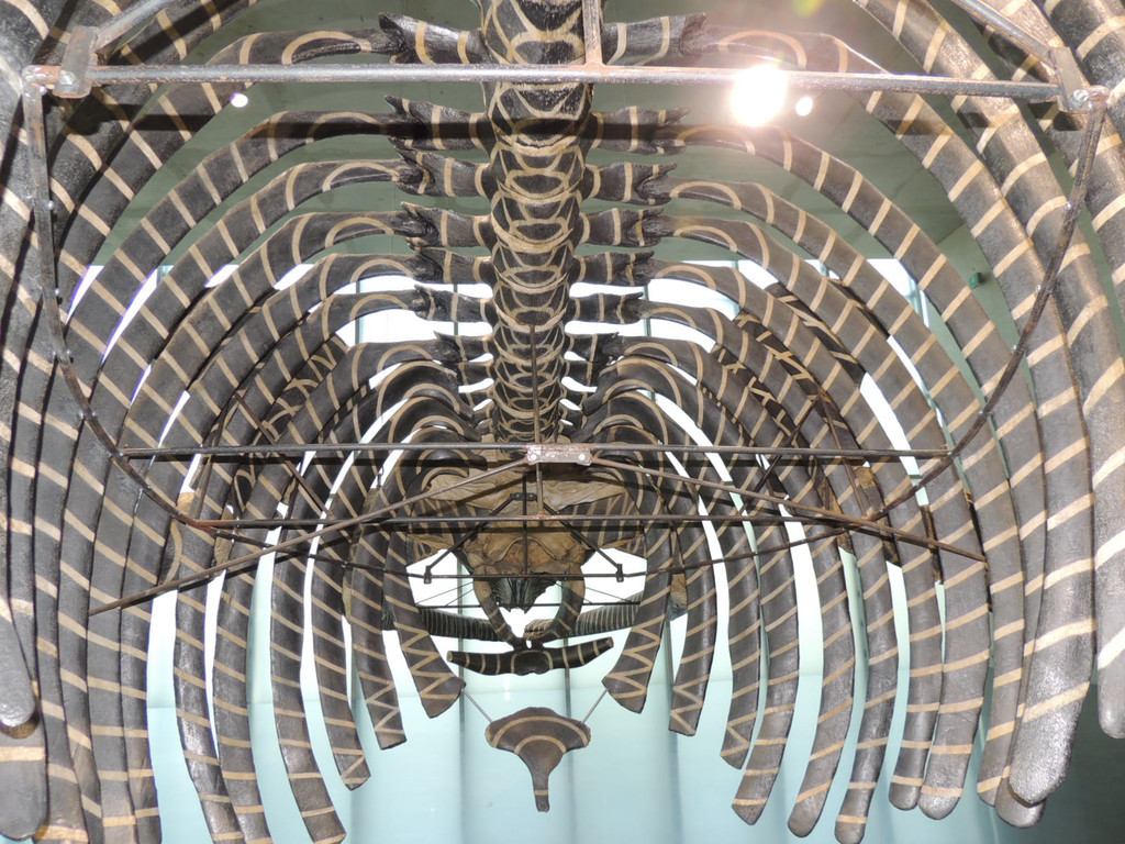 DSCN4441_JPG-1376739099