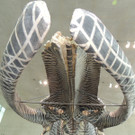 DSCN4444_JPG-1376739107