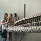 DSCN2580_JPG-1376739076