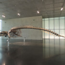 DSCN4428_JPG-1376739080