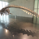 DSCN4432_JPG-1376739084