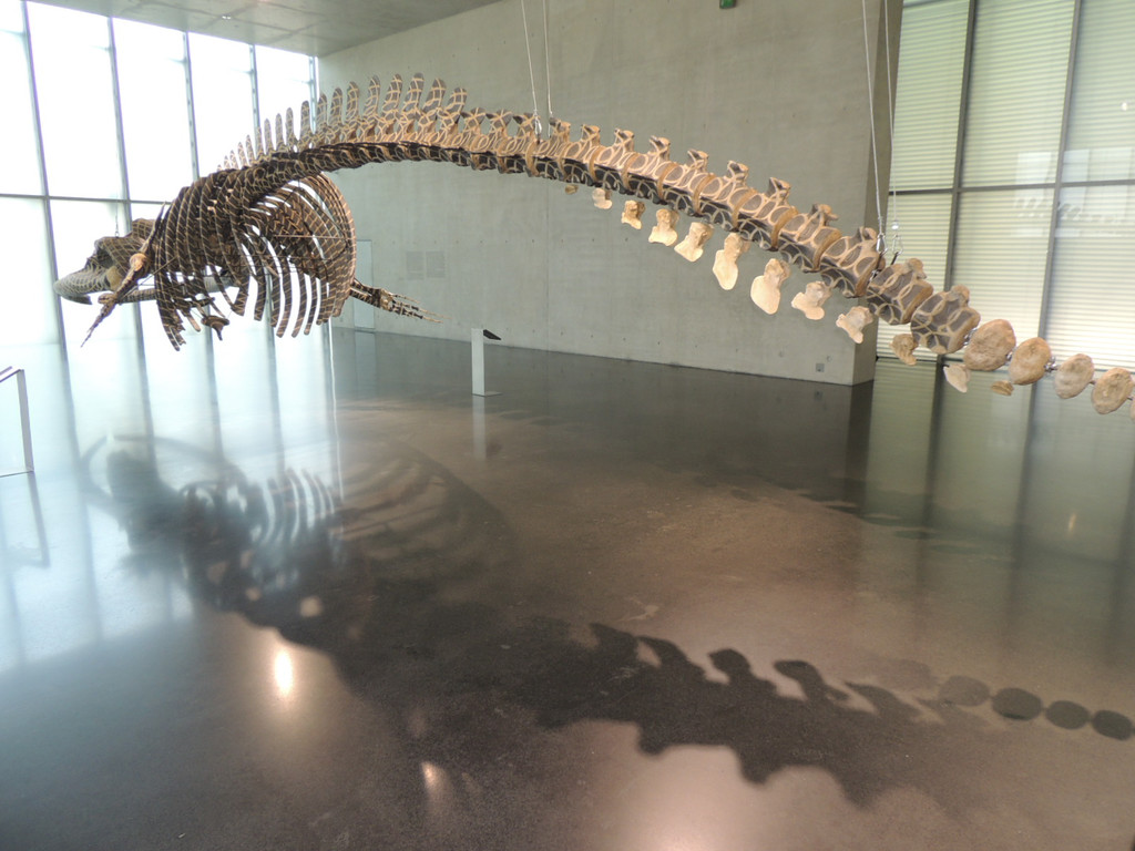 DSCN4432_JPG-1376739084