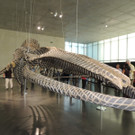 DSCN2566_JPG-1376739067