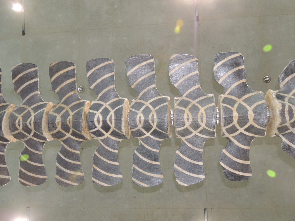 DSCN4440_JPG-1376739095