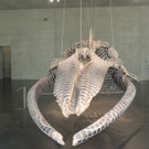 DSCN4445_JPG-1376739111